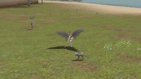 Lineage 2 custom skills, armor, weapon, e.t.c