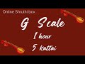 Tanpura  g or 5 scale  1 hour