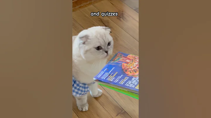 Watch the video about English and Kiki are too funny 🙈😂#kikicutekitty #funny #english #punintended #relatable #jokes