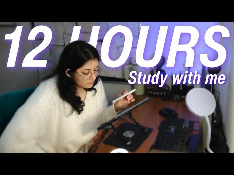 8 Hours LIVE🔴 STUDY WITH ME |Pomodoro | Talky in Breaks🎤