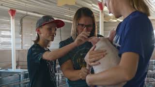Pig Farmers Live the We Care Ethical Principles