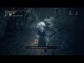 Bloodborne but I did some things offscreen