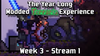 Infection Cleanup ✦ The Modded Terraria Experience ✦ Season 2 Episode 6