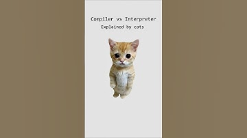 Complier Vs Interpreter, explained by cats. #cat #coding #programming #software #developer