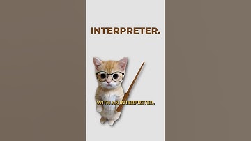 Complier Vs Interpreter, explained by cats. #cat #coding #programming #software #developer