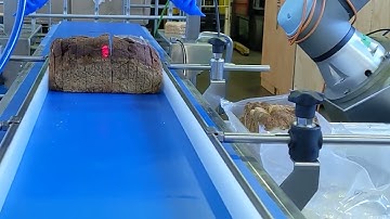 Robotic Primary Packaging Apex Motion Control