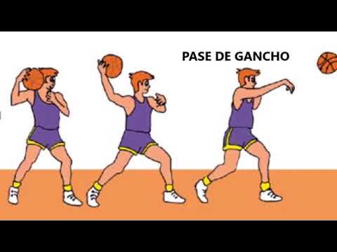 FUNDAMENTOS DEL BALONCESTO - YouTube