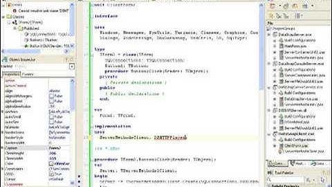 Bob Swart - DataSnap 2010 - Section 4