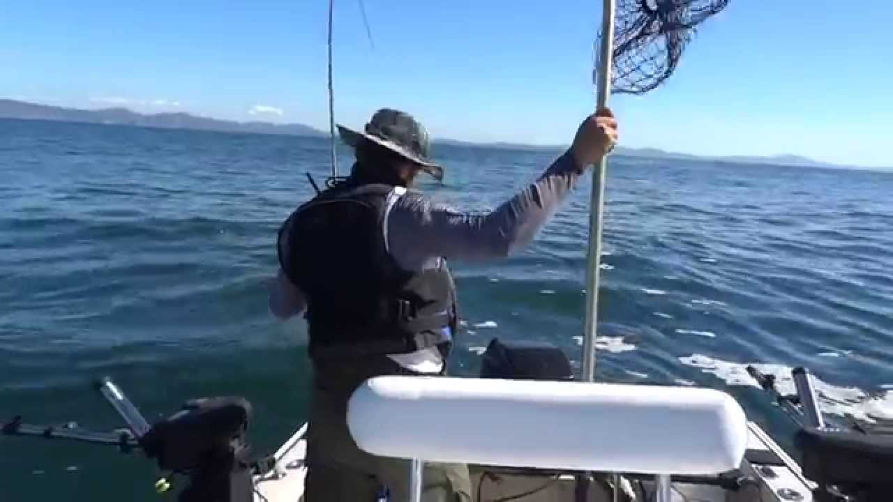 October Salmon Fishing in San Francisco Solo Limit YouTube