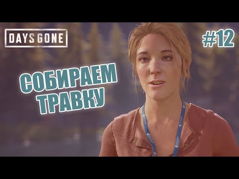 Видео: СОБИРАЕМ ТРАВКУ - Days Gone #12