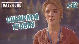 СОБИРАЕМ ТРАВКУ - Days Gone #12