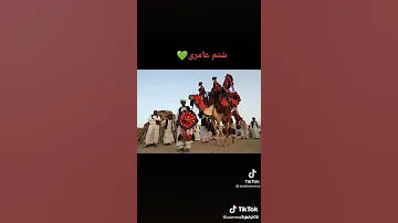 شتم عامرئ هلينا 