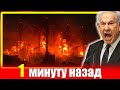 СРОЧНО🔥 СМИ: ХАМАС атаковал — до 20 израильских наблюдательных башен разрушены в Газе