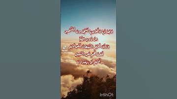 وجدتها وقومها يسجدون للشمس من دون الله. القارىء بلال دربالي من سورة النمل #بلال_دربالي #سورة_النمل
