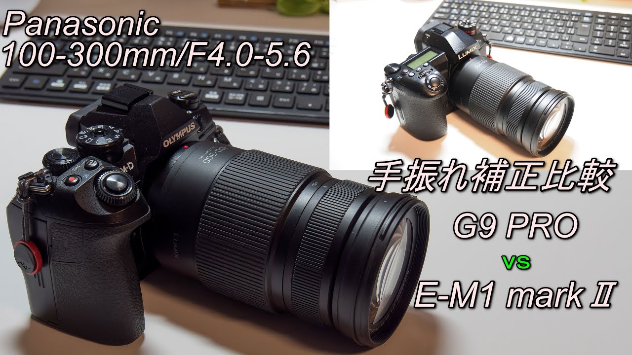 13064 ★良品★ Lumix 100-300mm II 手振れ補正 13064 ☆良品☆ Lumix 100-300mm II 手振れ補正