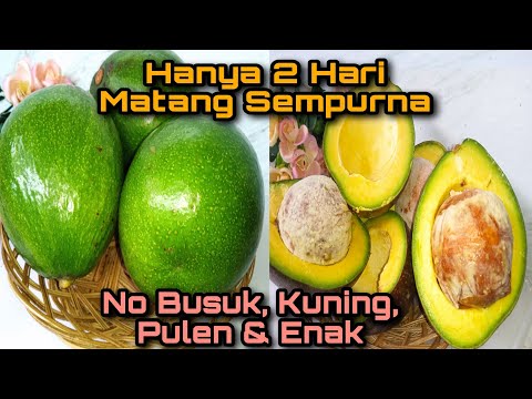 Video: Bagaimana untuk melembutkan alpukat?