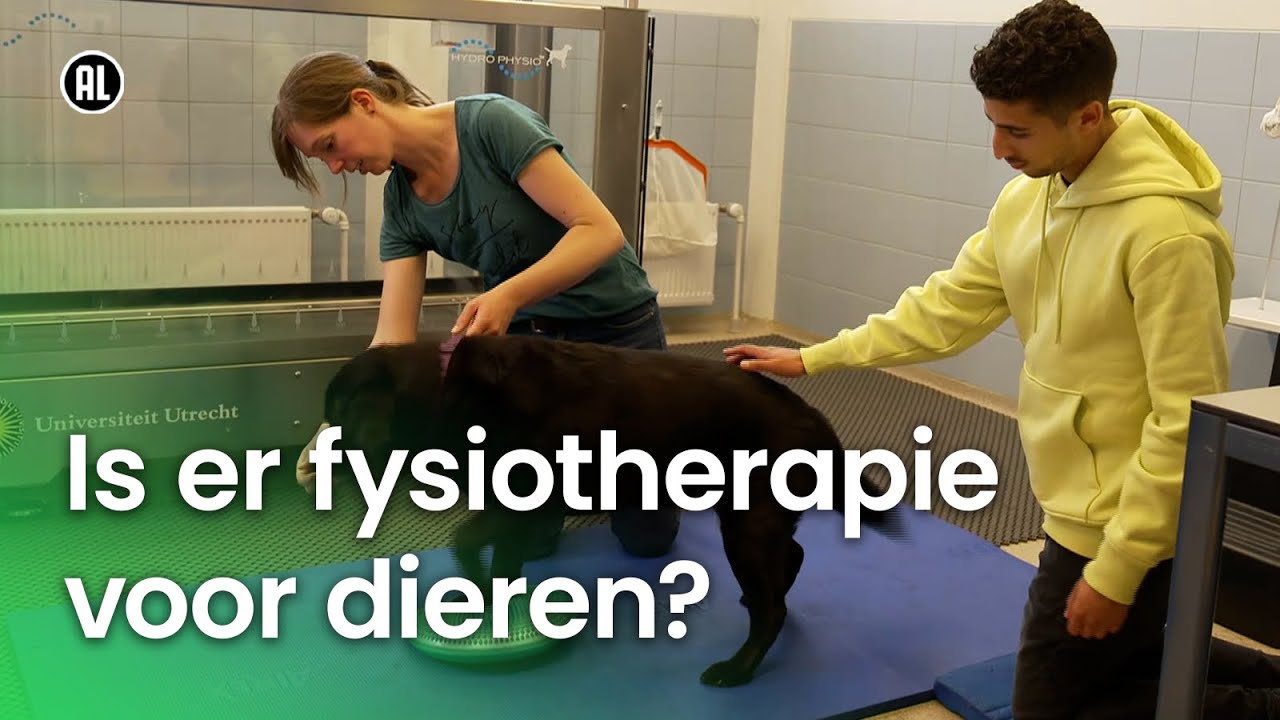 Is er fysiotherapie voor dieren? | Vragen van Kinderen
