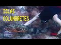 ¿Mero o perro? Islas Columbretes pesca submarina | Spearfishing La Barra Alta.  Catch & cook