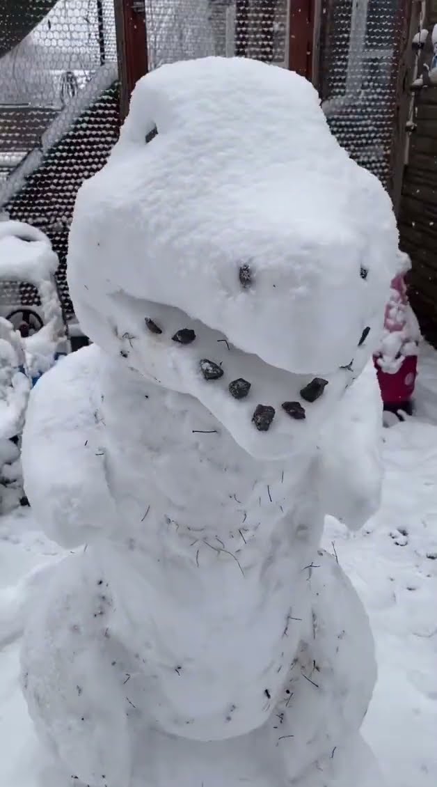 T-Rex Made of Snow || ViralHog