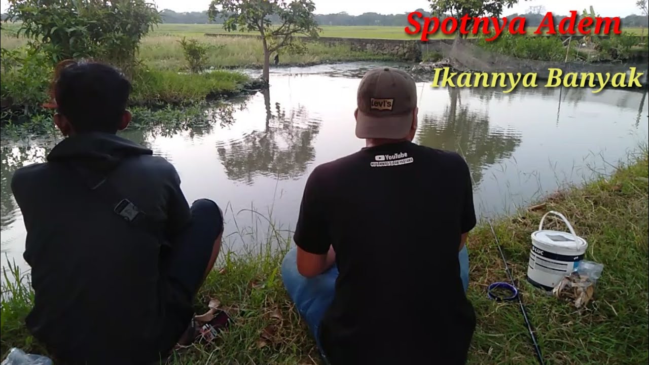 Mancing Di Gedung Soka Plumbon Cirebon, MIP Channel