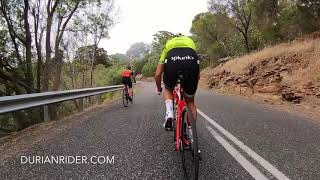 For my latest bike buyers guide and best cycling tips ive learned over
the last 20 years
https://durianrider.com/products/durianriders-lean-body-bible
follow...