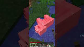 Killing Pigs in 1.8 hits different