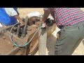 Excavator breaker nitrogen gas#newpost #easter #greenville #everyone #excavator #ajaycranevolog44