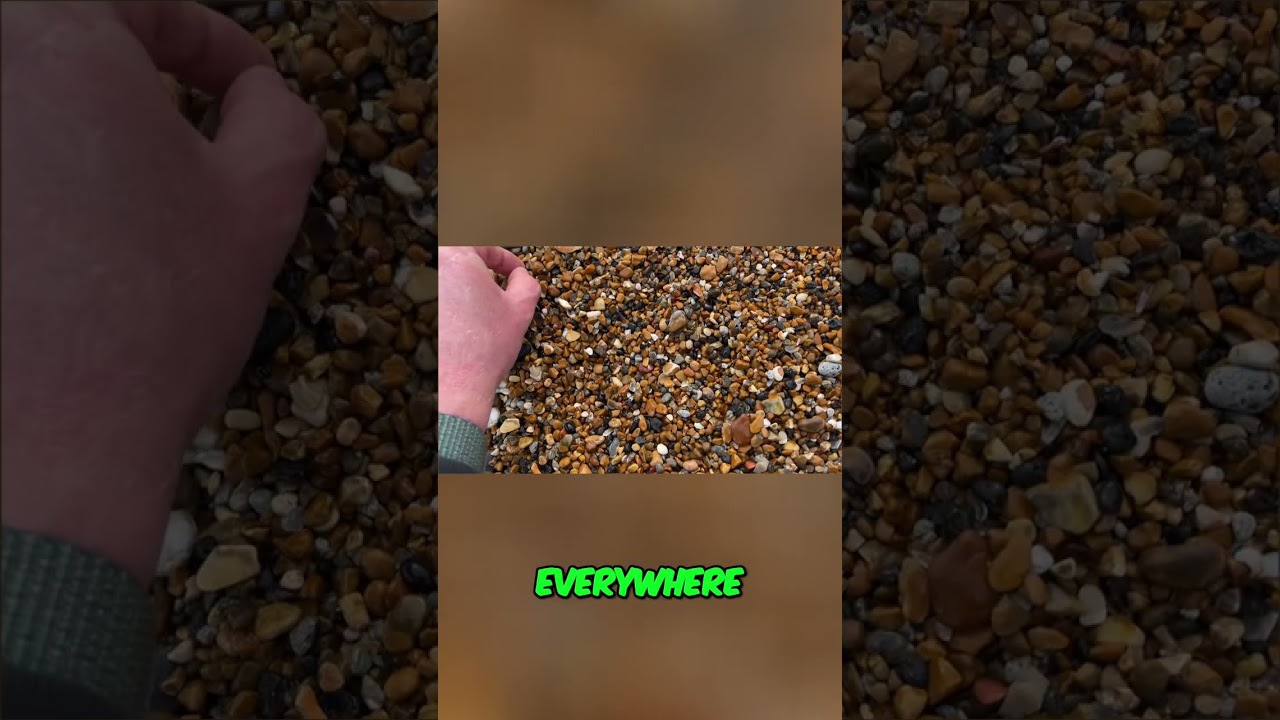 Beachcombing for Uranium Glass in 2022 #shorts
