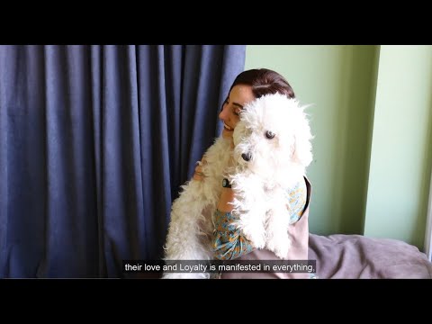 \"ელექსირი\" \"ზოოპლაზას\" მაღაზიასა და ვეტერინარულ ცენტრში.