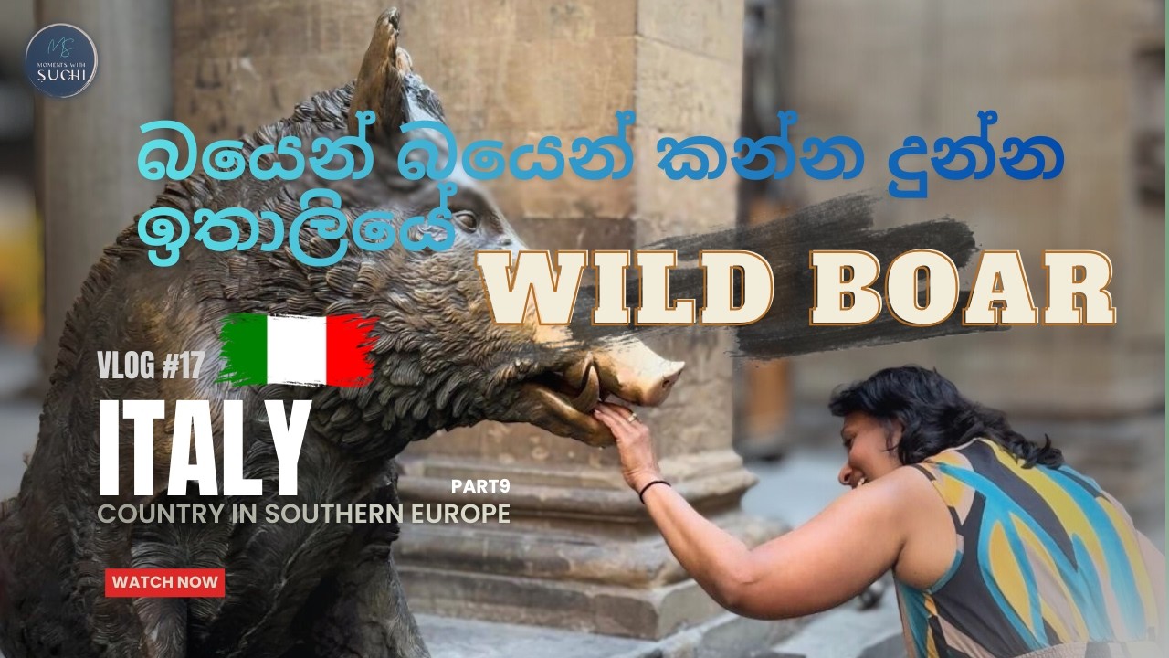 පුනරුද කලාවේ නිවහන Florance | Tour of  Italy | Vlog 17 - Part 9