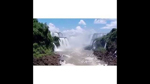 تلاوة عمر الشهري