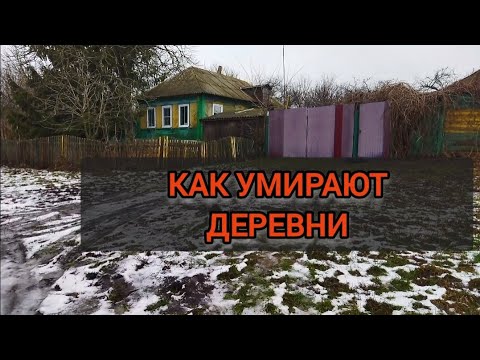 Вымирающая деревня. Улица где не кто не живет.  Все развалено.