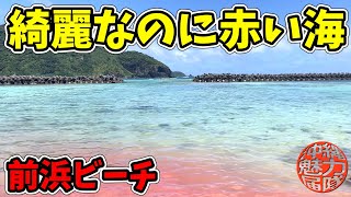【前浜ビーチ】阿嘉島の超絶綺麗なビーチなのに赤い海って何故？阿嘉大橋・いびがなしの宮・御殿の木・前浜ビーチ！