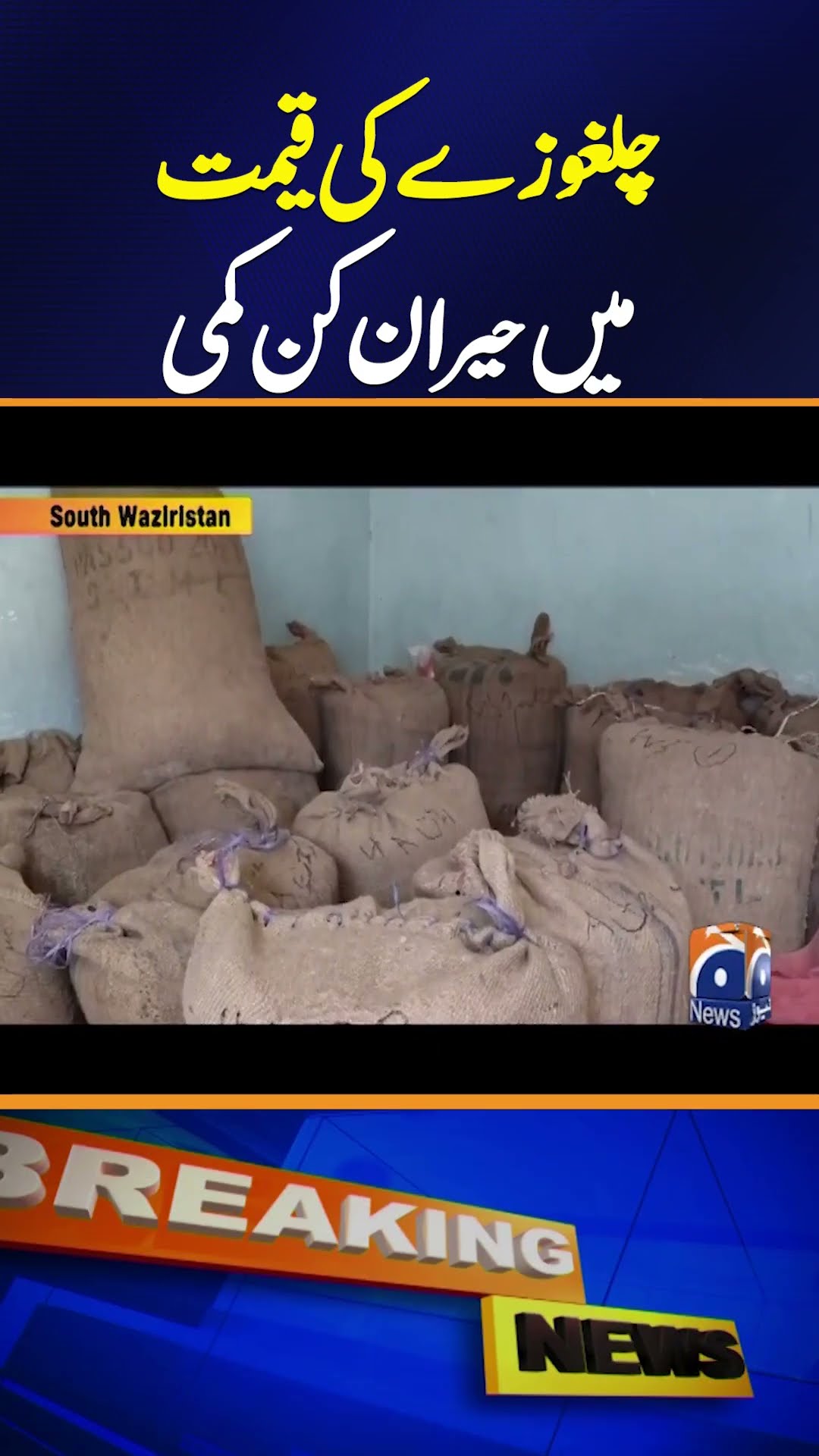 Chilgoze Prices Fall Unexpectedly | Geo News