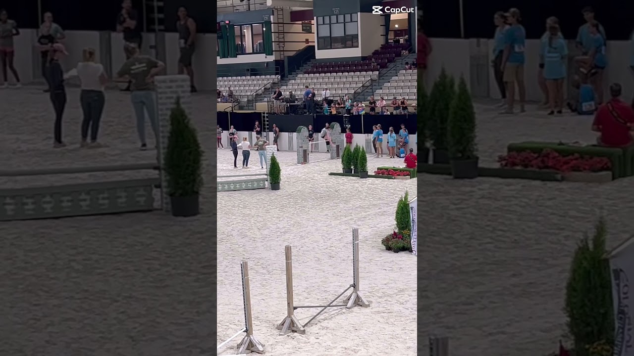 We did a horseless horse show and how high can you jump. Scarlett jumped so high