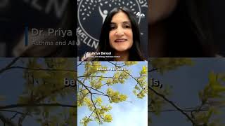The #1 piece of advice to survive allergy season | NBC New York