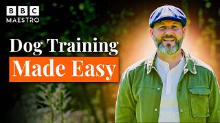 Training Your Dog Made Easy With Steve Mann Meet Your Maestro Bbc Maestro