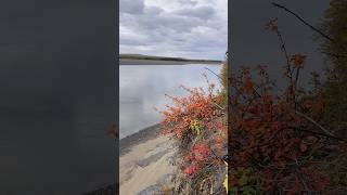 Заполярье. Река Яна