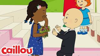 The Wedding | Caillou's New Adventures | Cartoons For Kids