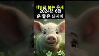 띠별운세! 2024년 6월 돼지띠운세! 대박나는 돼지띠운세! 갑진년 6월 한달운세! 운 좋은 돼지띠분들 운세…