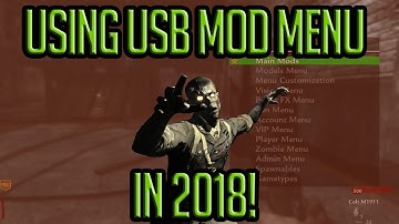 Using A Usb Mod-Menu In 2018! (WaW)