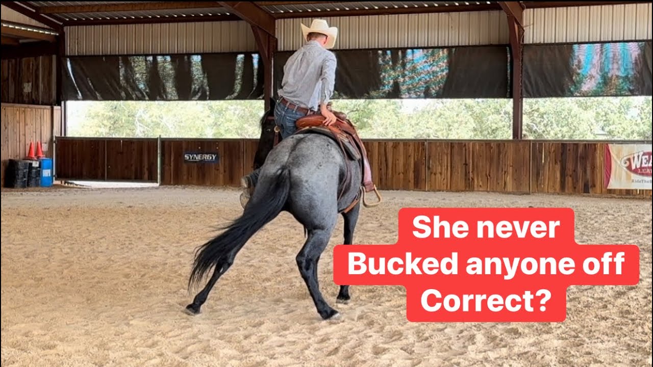 «На прошлой неделе она вернулась к своим греховным деяниям».