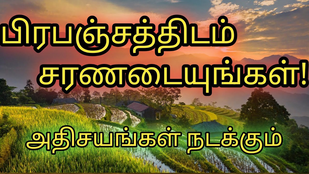 பிரபஞ்சத்திடம் சரணடையுங்கள்|அதிசயங்கள் நடக்கும் 