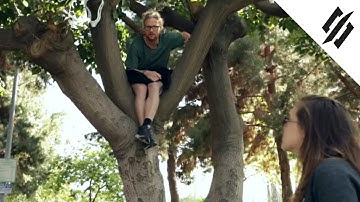 The Harvest | Mark 1 | StringKing