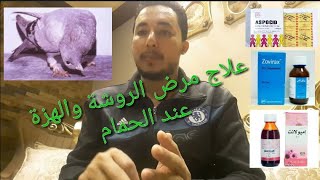 علاج مرض الروشة والهزه عند الحمام #ابو_فريده_والحمام