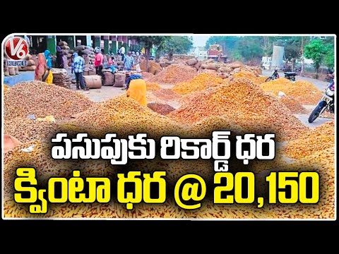 Huge Raise In Turmeric Price From Day To Day | Nizamabad | V6 News - V6NEWSTELUGU