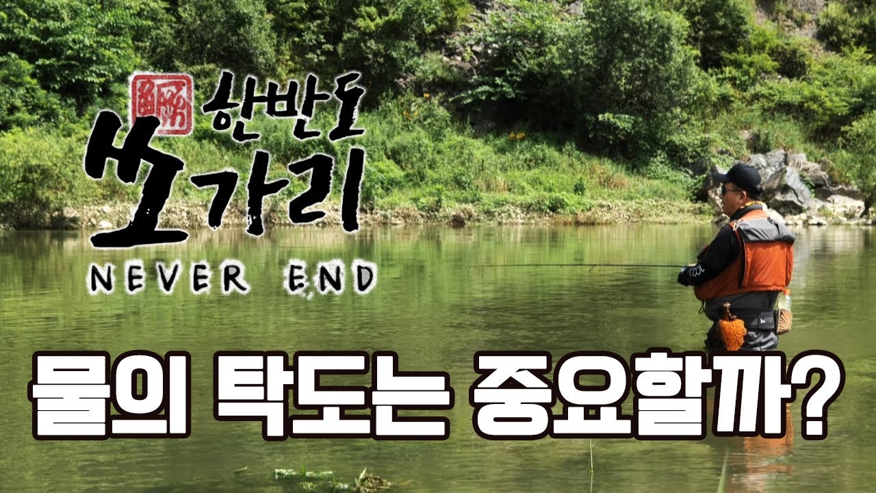 쏘가리와 물의 탁도의 관련성, 한 끗 차이 일까? [한반도쏘가리 NEVEREND 04회]