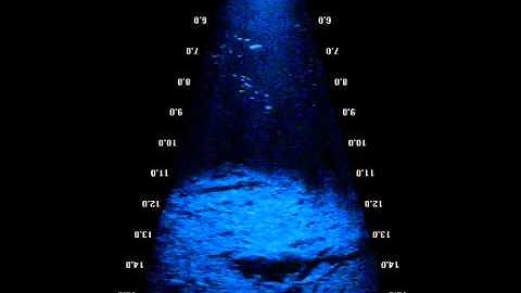 DIDSON Camera Footage