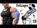 Triceps Workout At Gym//6 Exercises Triceps 🥵