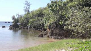 Virtual Tour